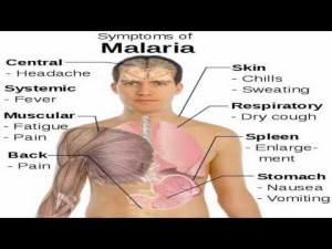 malaria